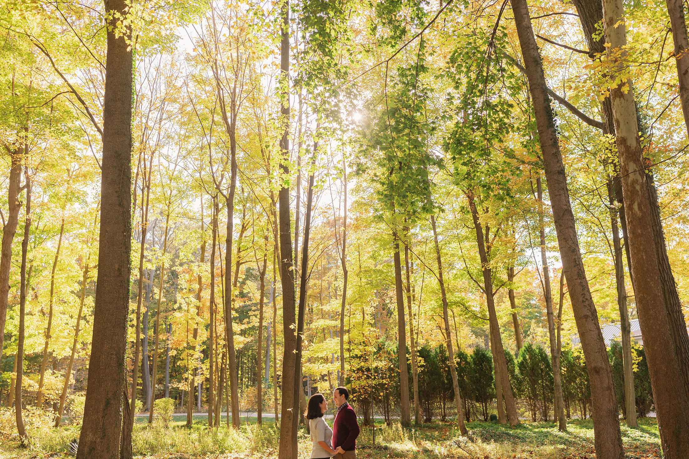 a fall engagement session in western michigan